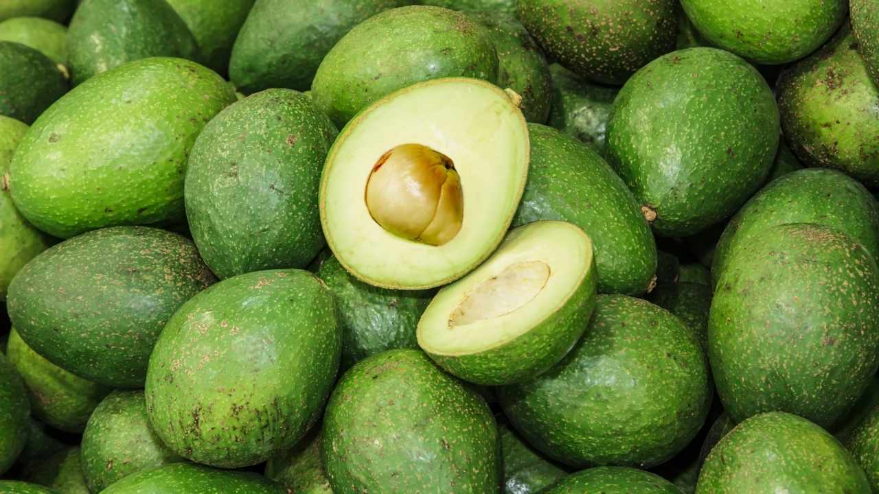 Ide Camilan Nikmat Berbahan Dasar Alpukat yang Kaya Manfaat