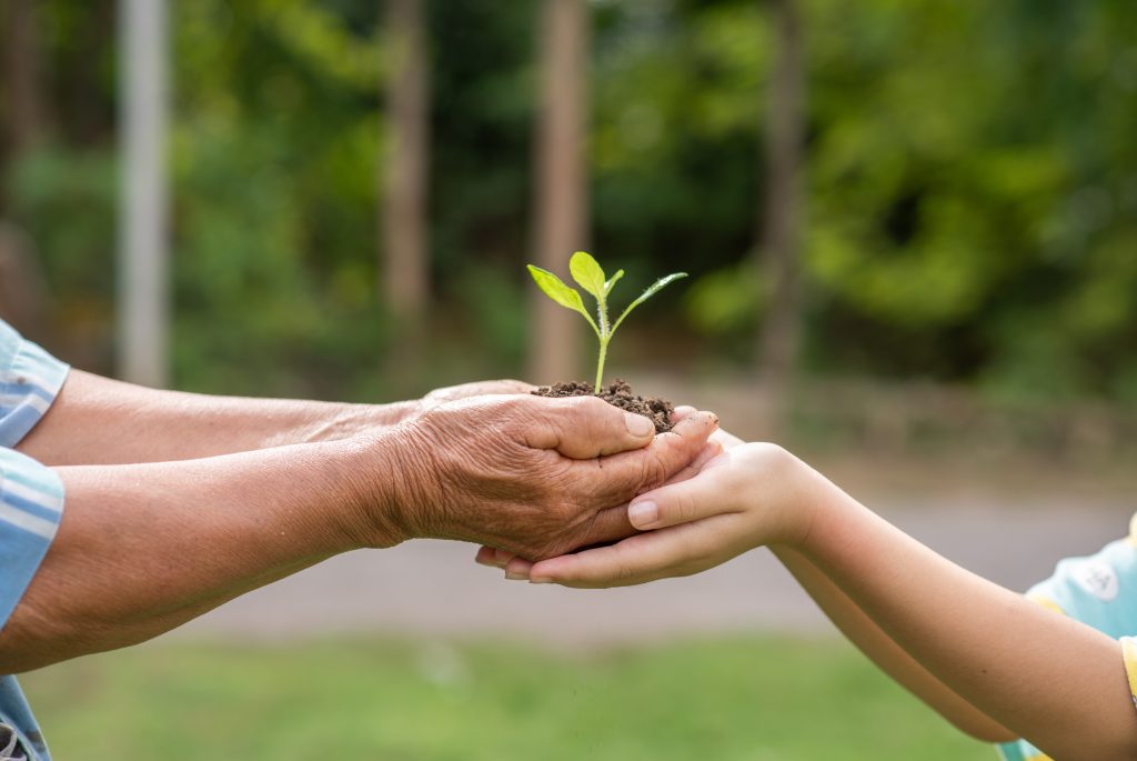 Bukan Sekadar Ikut Tren Ini Alasan Gen Z Ramai Ramai Beralih ke Plant Based di 2026