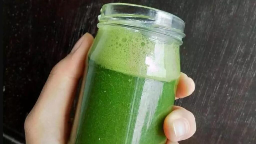 Segar dan Bugar! Coba Resep Green Smoothies yang Bikin Tubuh Makin Sehat