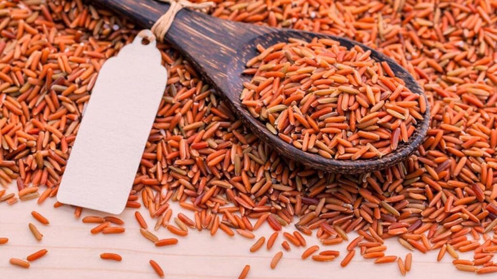 Bukan Sekadar Pengganti Nasi Putih, Ini Manfaat Beras Merah untuk Kesehatan Tubuh