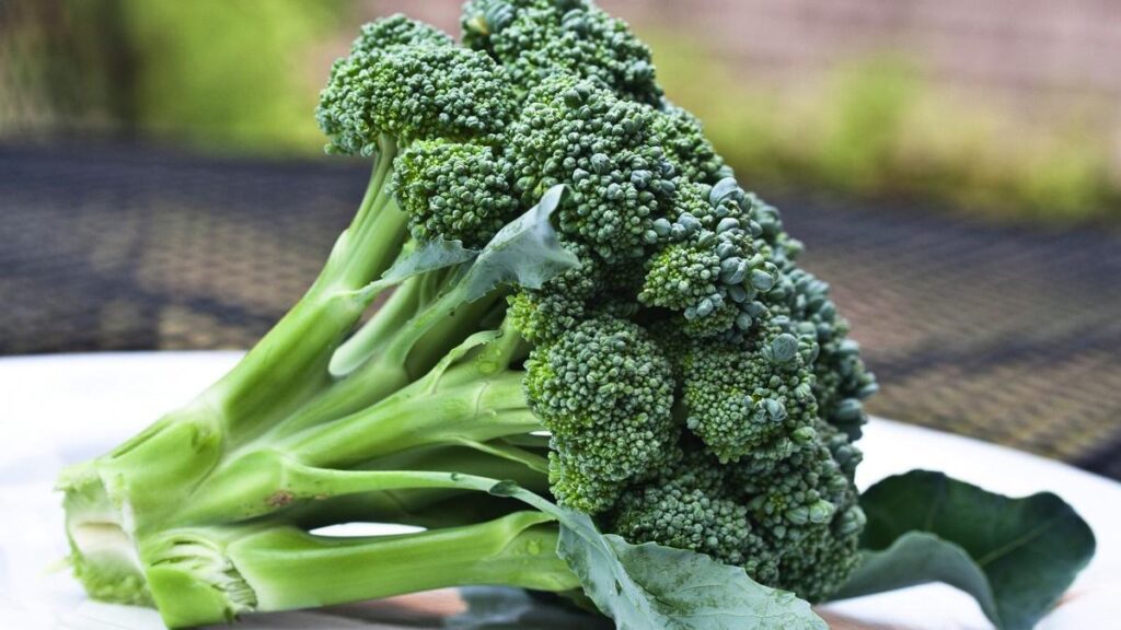 Disebut Superfood, Tapi Apa Itu Sayuran Cruciferous Sebenarnya?