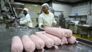 Burger Nabati Ini Jadi Tren Baru di Afrika, Rasanya Bikin Penasaran